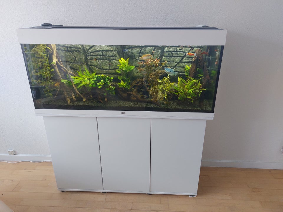 Akvarium 240 liter