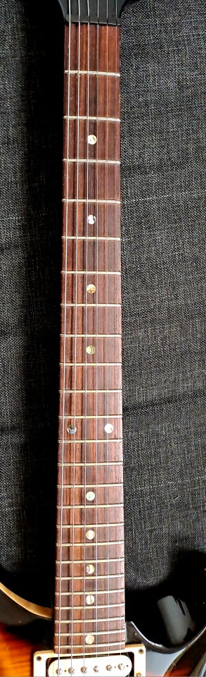 Elguitar, PRS Custom Vintage 24