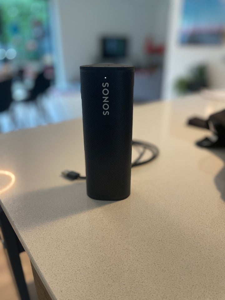 Højttaler, SONOS, Roam