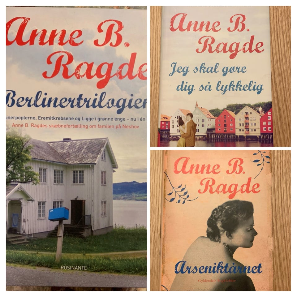 Anne B Ragde romaner , Anne B Ragde ,