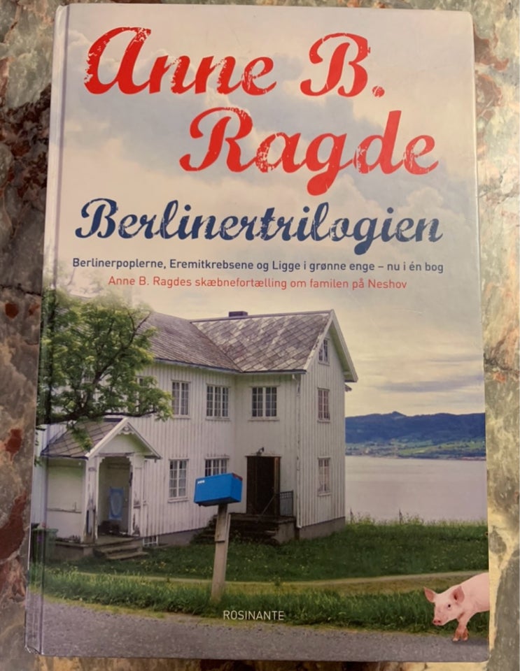 Anne B Ragde romaner , Anne B Ragde ,