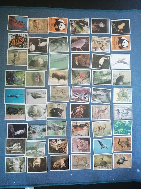 Klistermærker, 119 WWF Panini