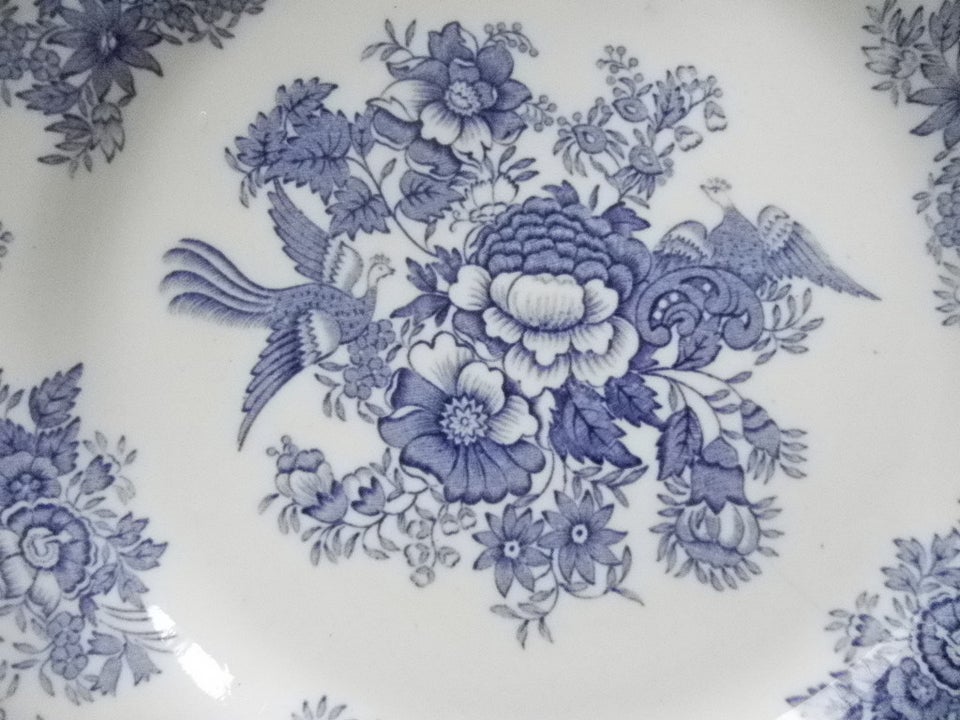 Porcelæn RETRO - tallerkener - Blå