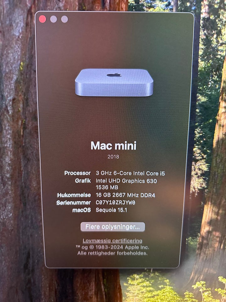 Mac mini, A1993 2018, Perfekt