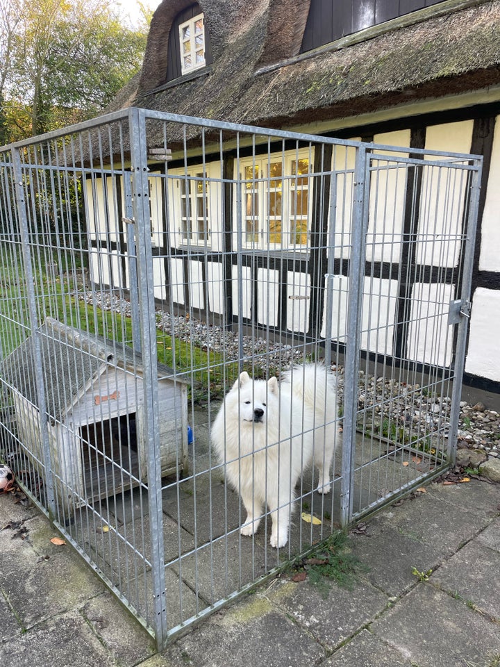 Hundegård, Galvaniseret