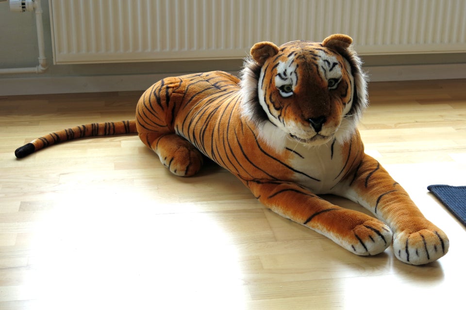 Bamser, Tiger