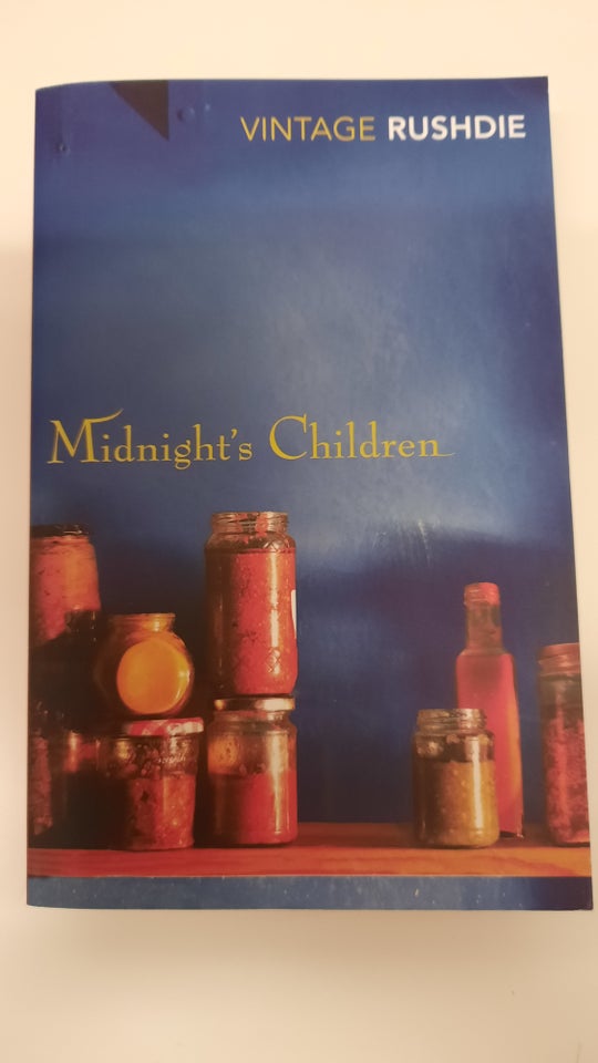 Midnight's Children, Salman