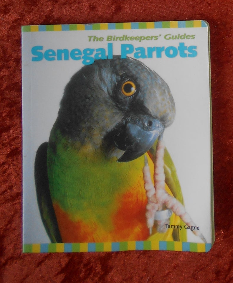 Senegal parrots, Tammy Gagne,