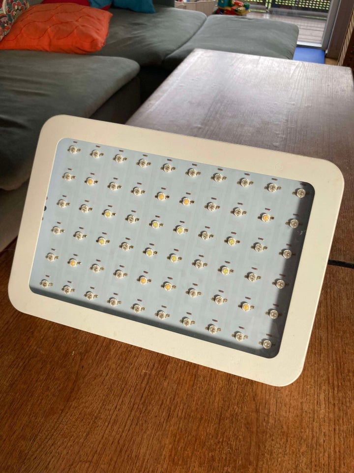 LED Growlight