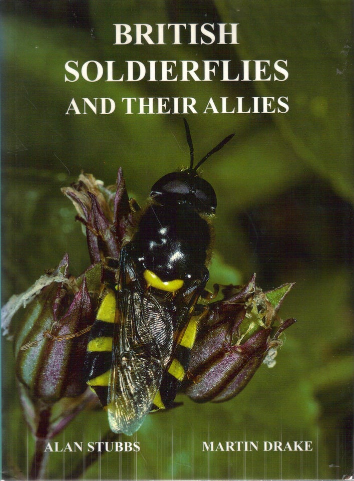 British soldierflies and their