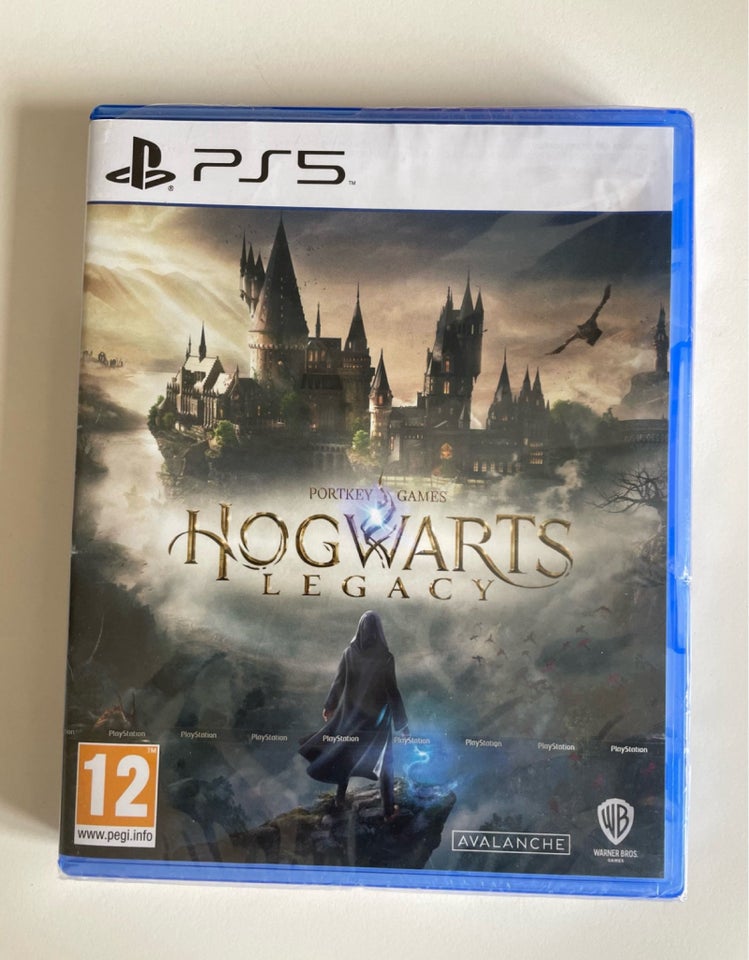 Hogwarts Legacy, PS5, adventure