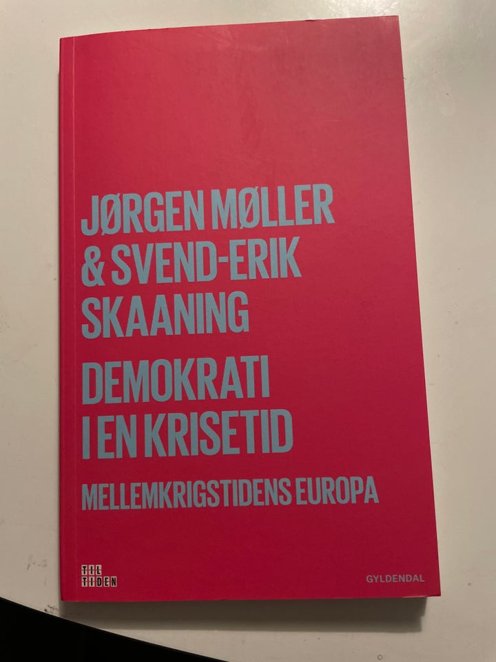 Demokrati i en krisetid, Møller 