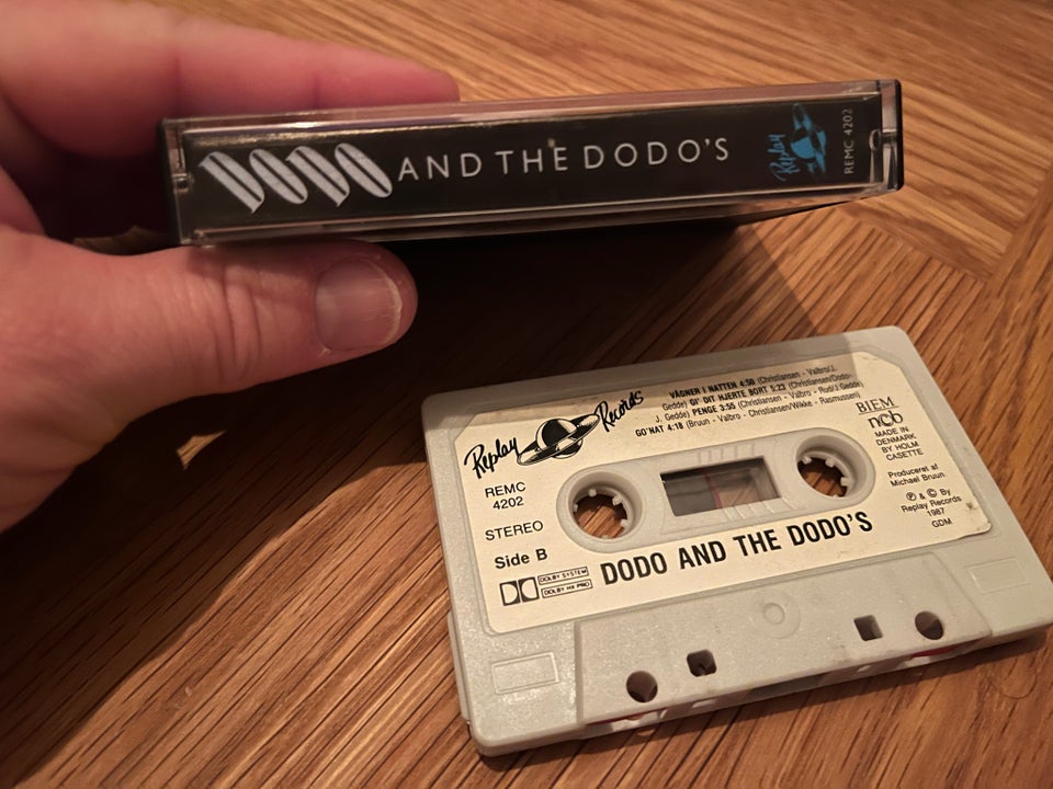 Bånd, Dodo and The Dodo’s, Debut 1