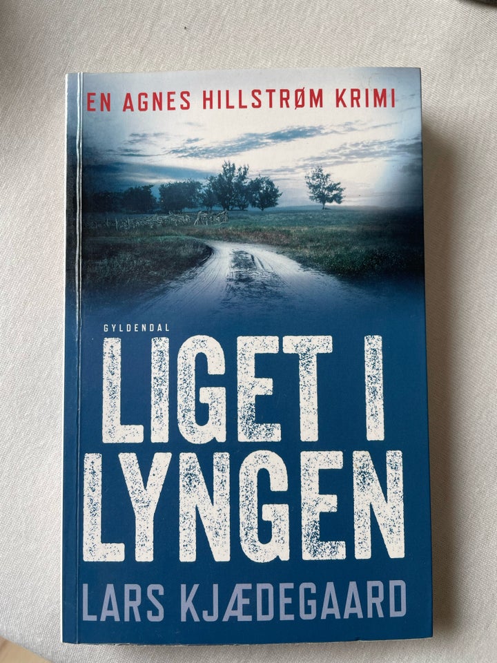 Liget i lyngen, Lars kjædegaard,