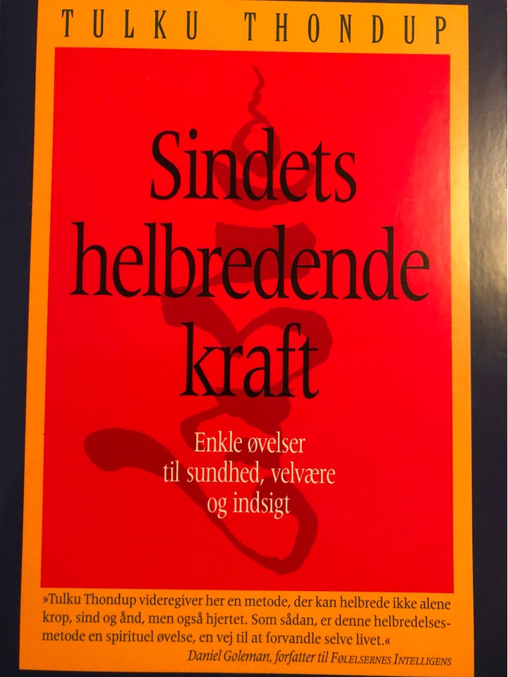 Sindets helbredende kraft, Tulku