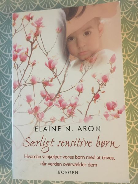 Særligt sensitive børn, Elaine N.