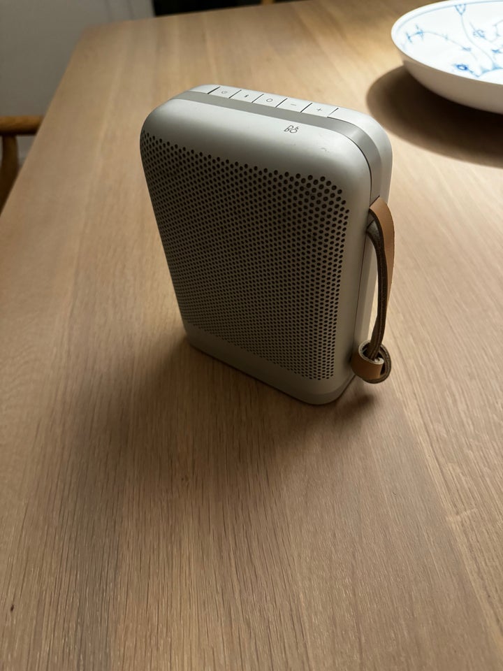 Højttaler, Bang  Olufsen, P6