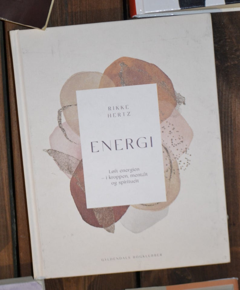 Energi, Rikke Hertz, emne: