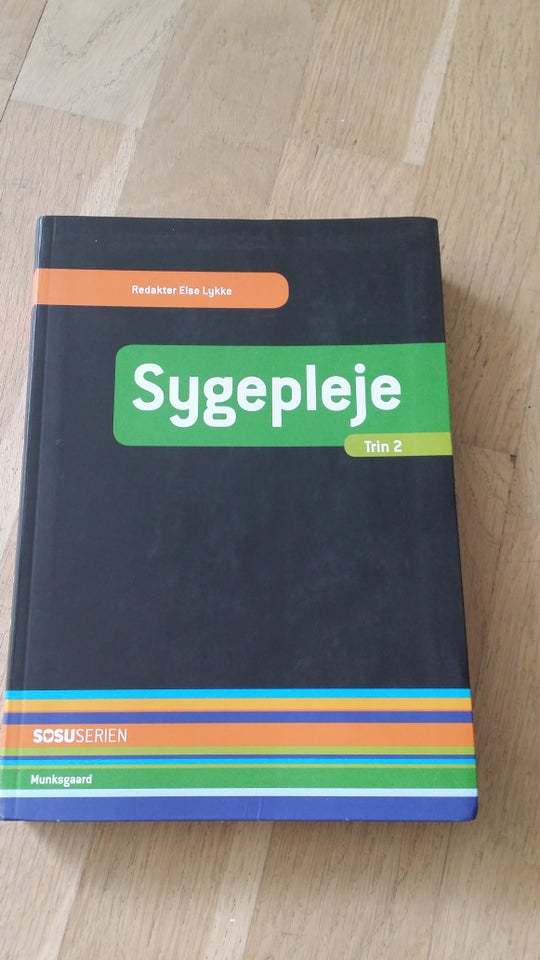 Sygepleje Trin 2, Birgitte