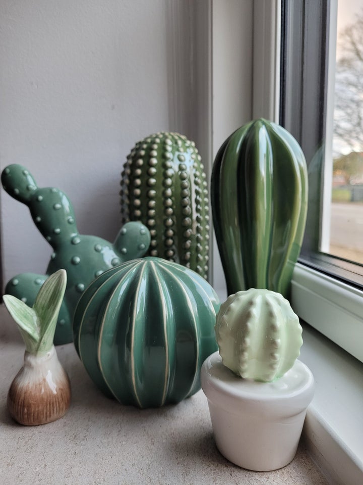 Kaktus samling + Cactus