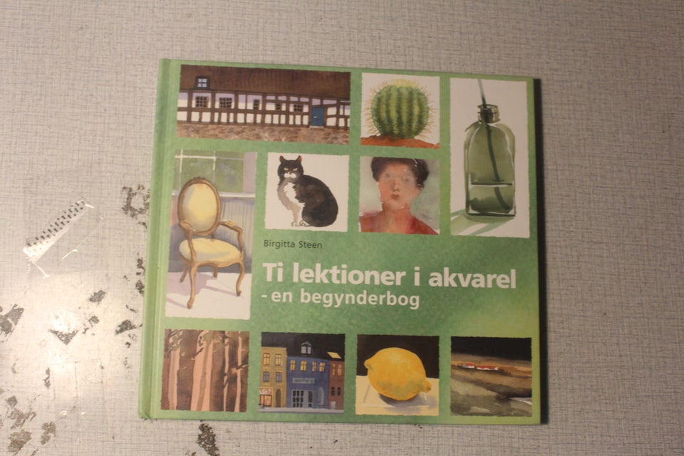 Ti lektioner i akvarel, Birgitta