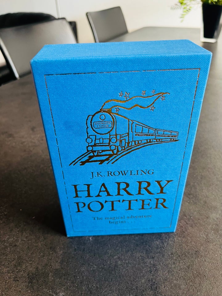 Harry Potter: A Magical Adventure