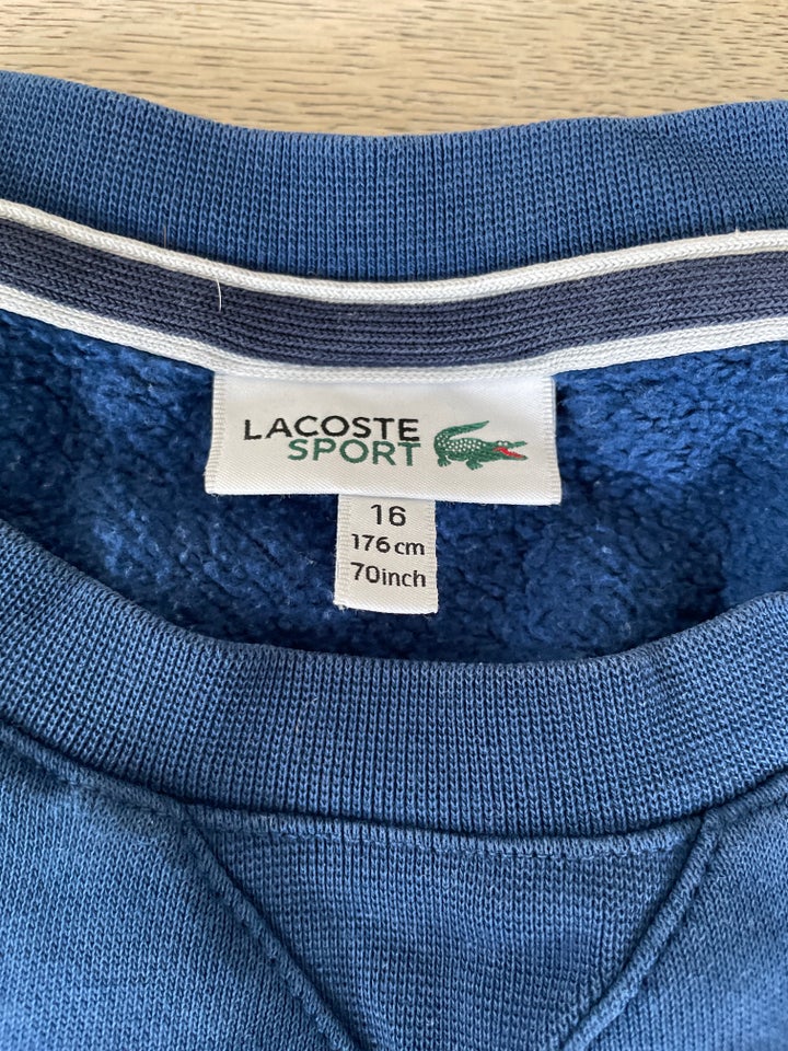 Sweatshirt, Sweatshirt, Lacoste