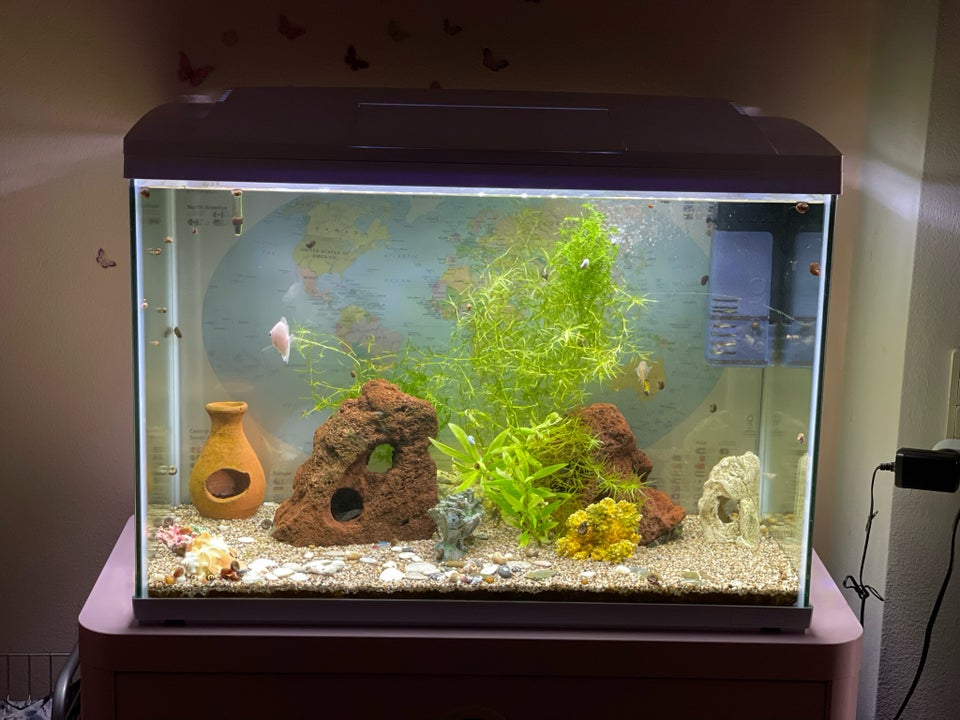 Akvarium 100 liter