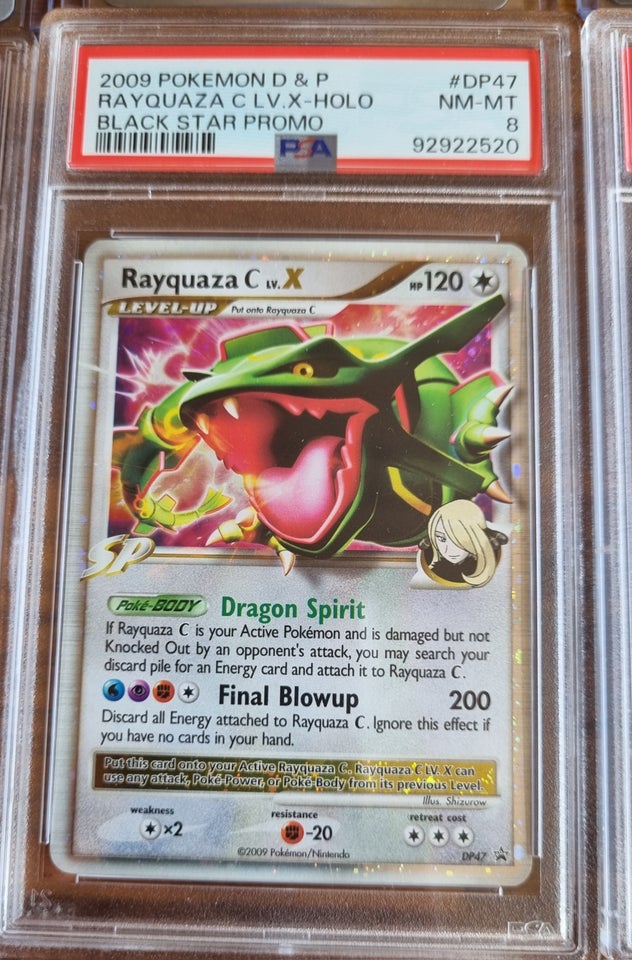 Samlekort, Lv x rayquaza