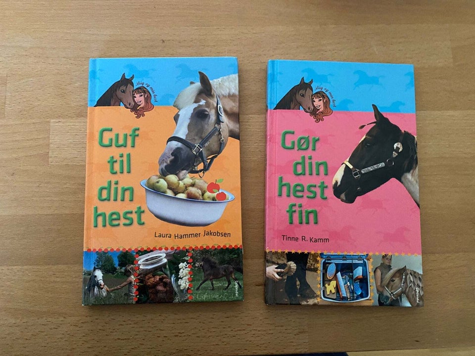 Guf til din hest, Gør din hest fin