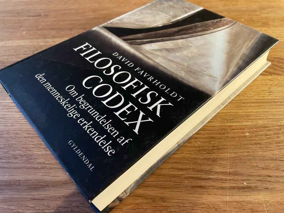 Filosofisk codex, David