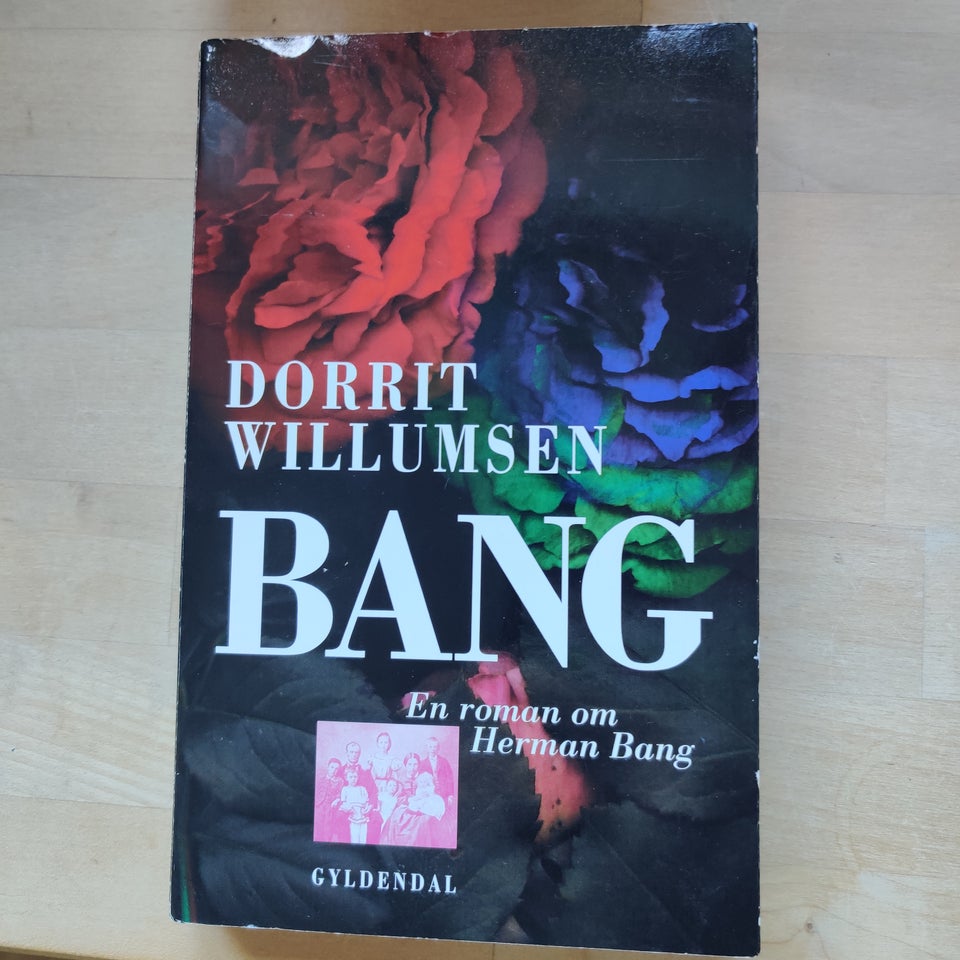 Bang, Dorrit Willumsen, genre: