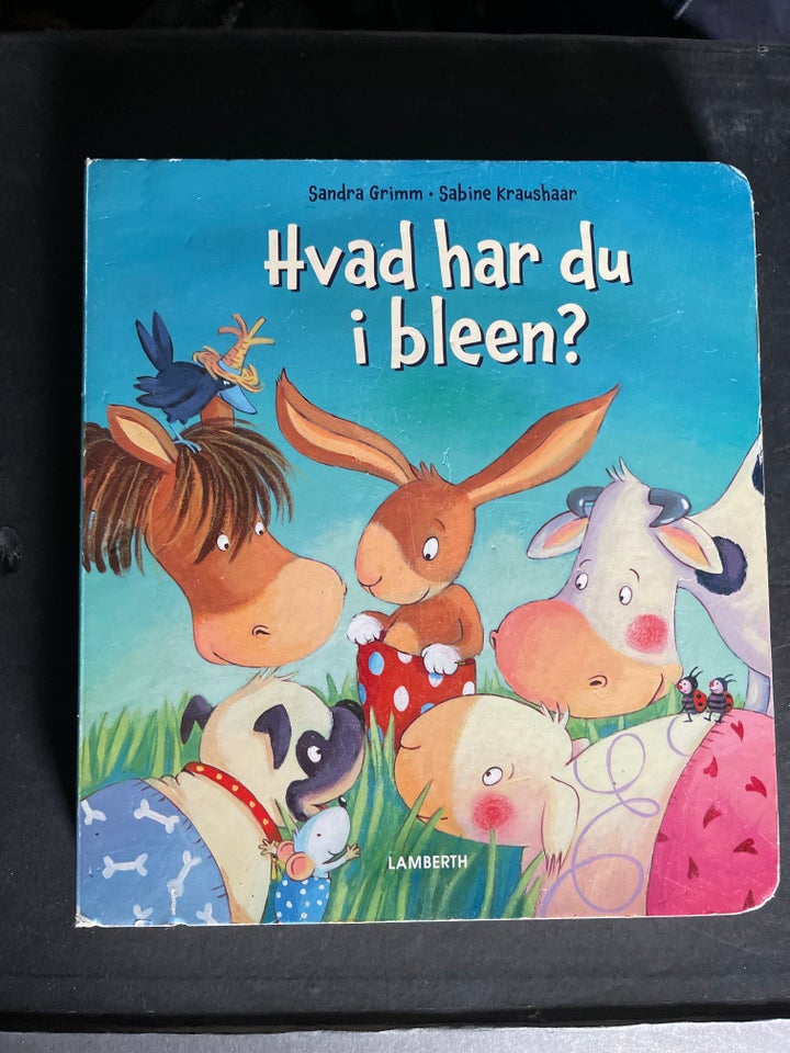 Hvad har du i bleen, Sandra Grimm