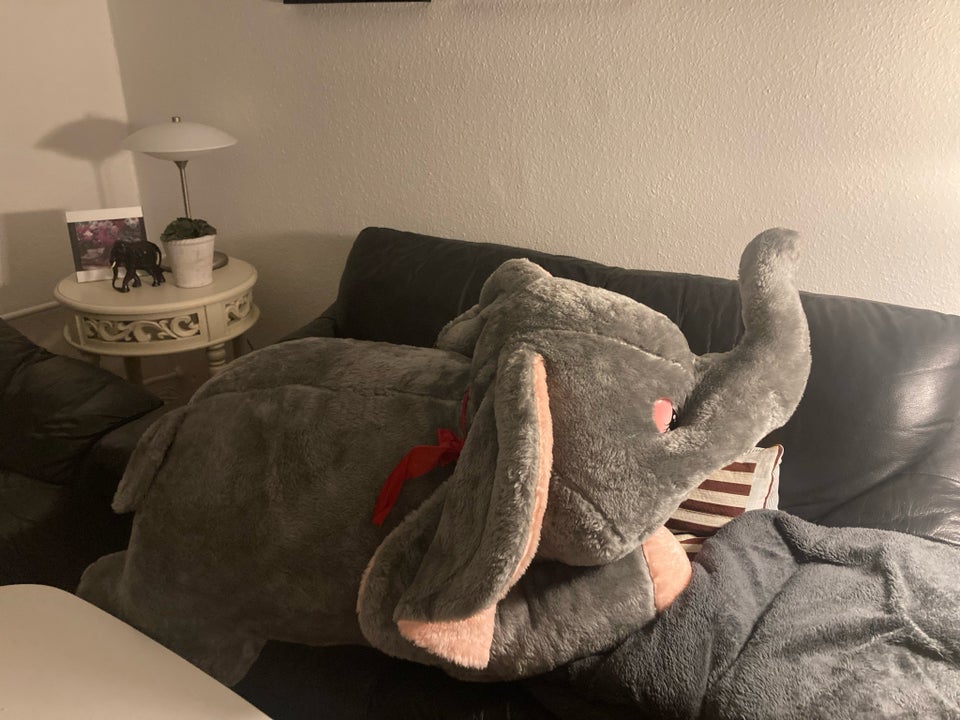 KÆMPE elefant, Fabia