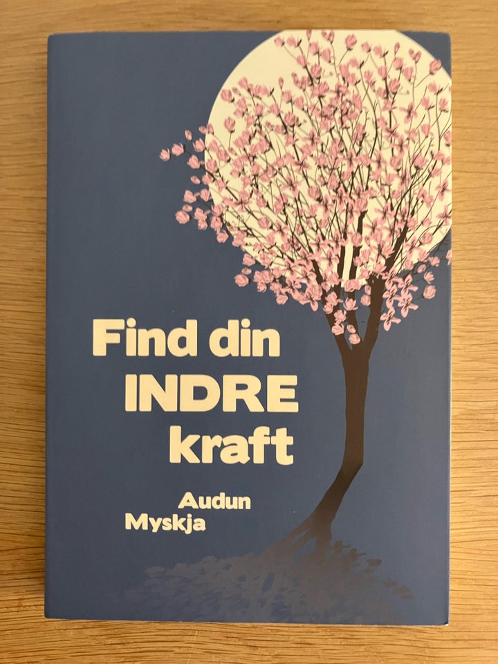 FIND DIN INDRE KRAFT Audun Myskja