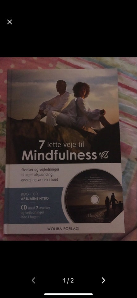 Mindfulllness, Bjarne Nybo, anden