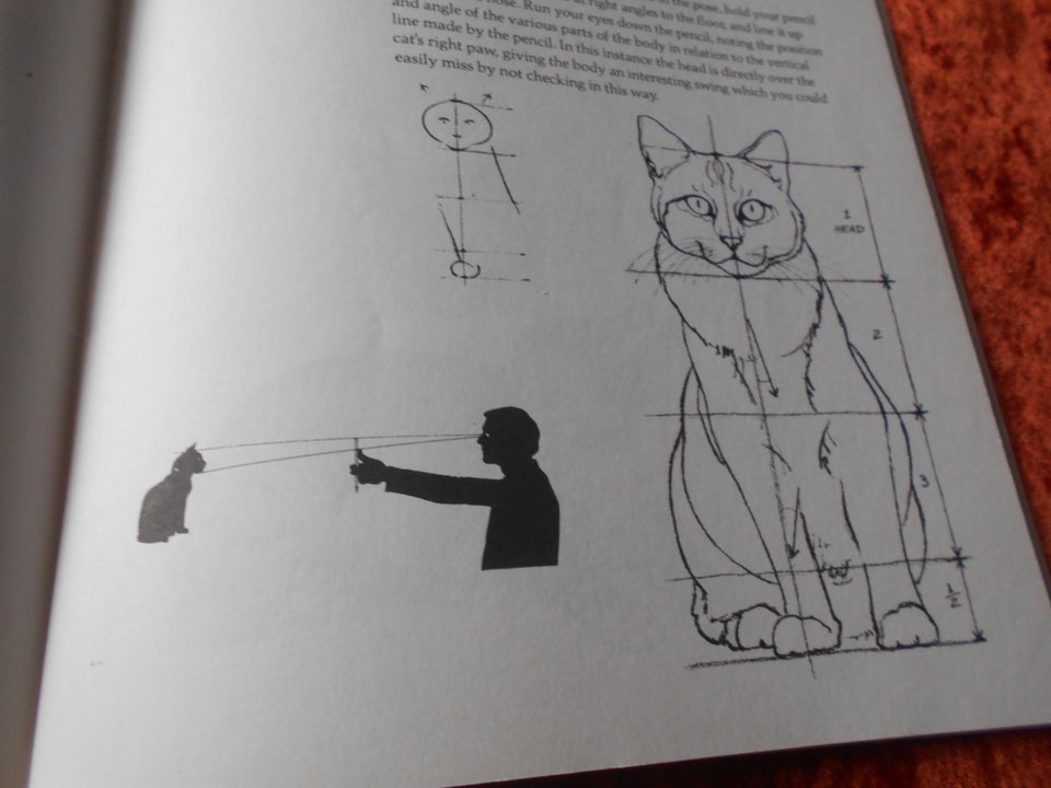 Draw Cats, David Brown, emne: hobby