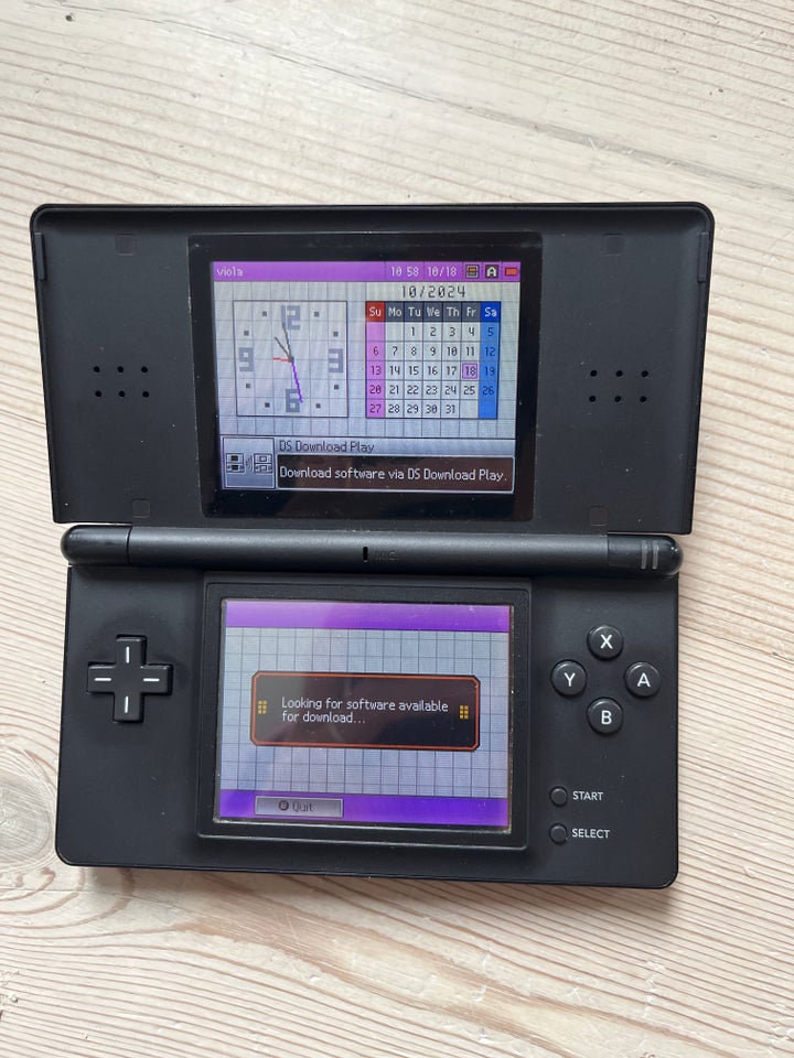 Nintendo DS Lite, Sort, God