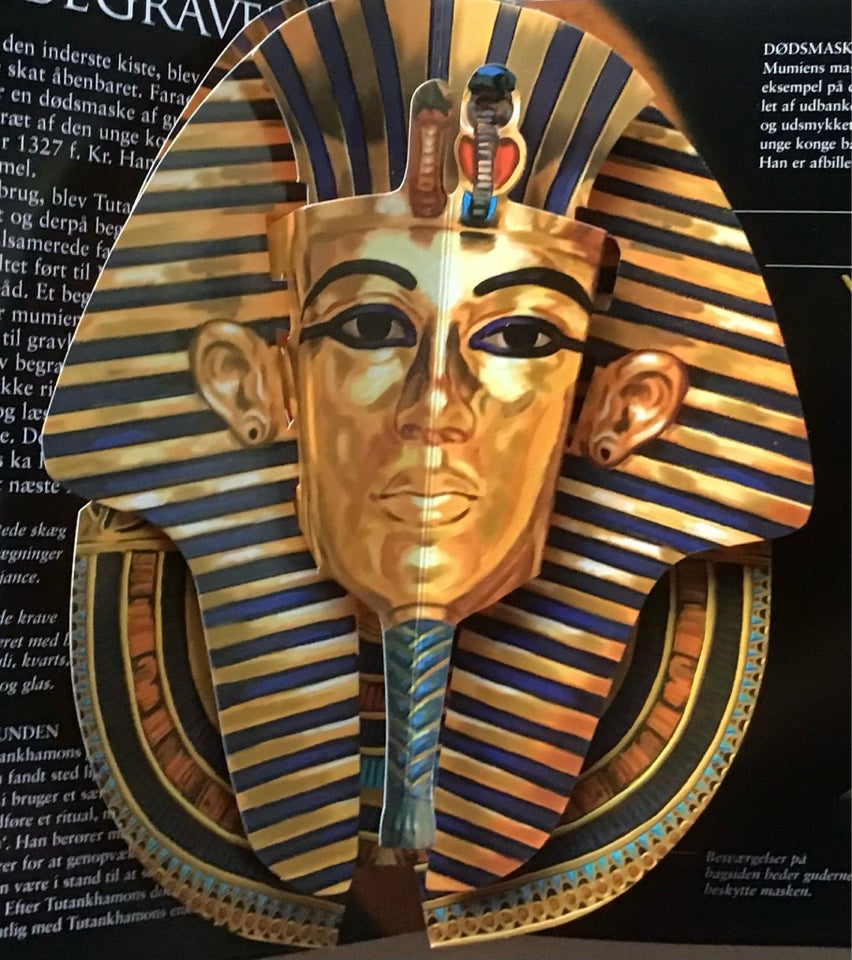 Tutankhamons grav Pop-op bog, Jen