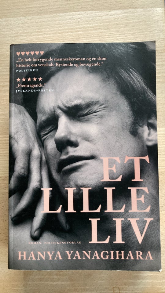 Et lille liv, Hanya Yanagihara,