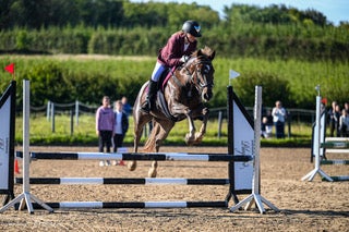 Welsh og Cob hoppe 17 år