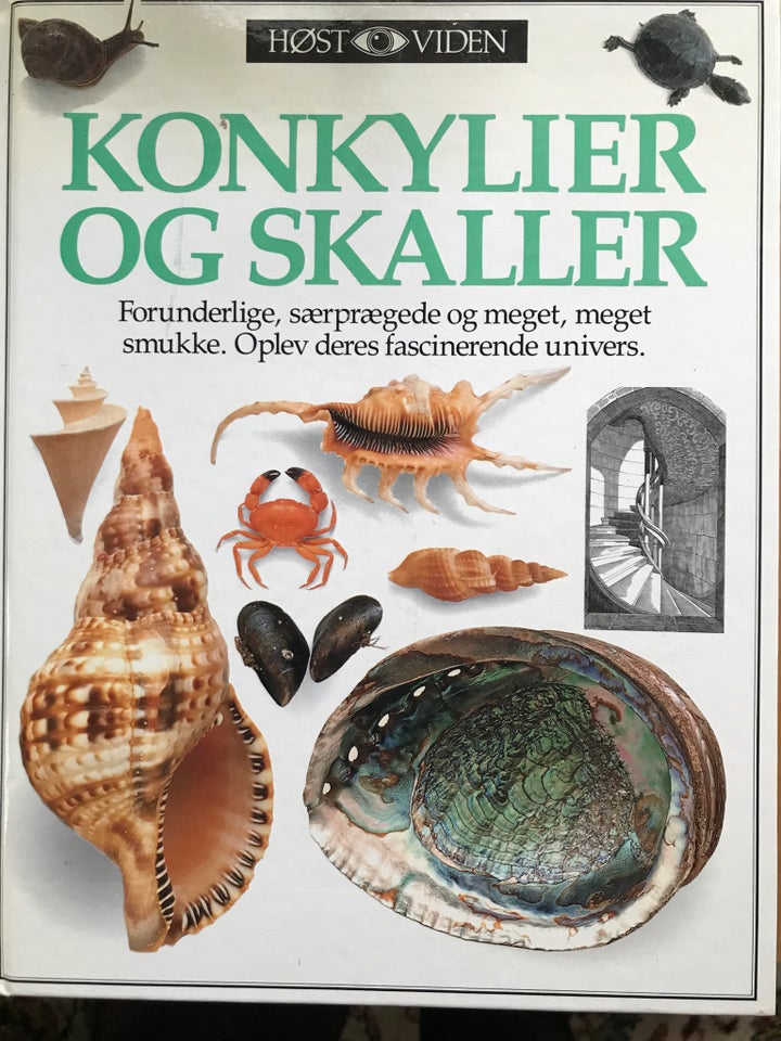 Konkylier og skaller, emne: