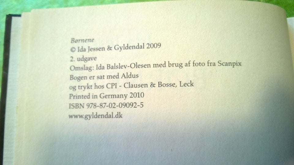 Børnene, Ida Jessen, genre: roman