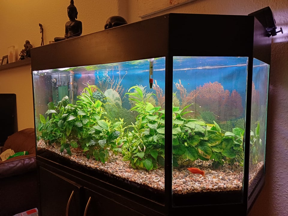 Akvarium 180 liter b: 100 d: 42 h: