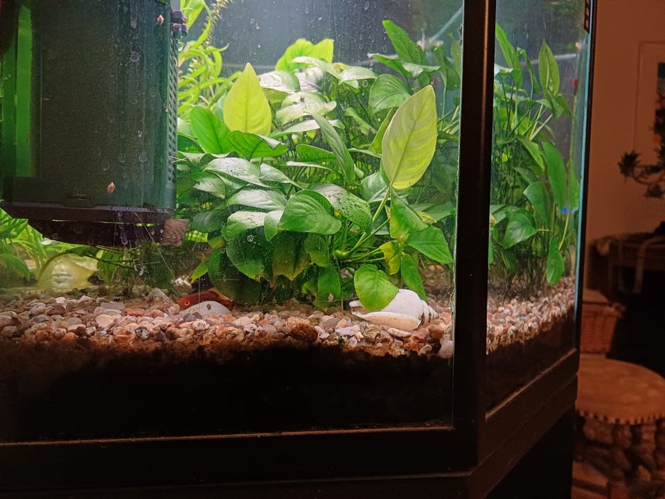 Akvarium 180 liter b: 100 d: 42 h: