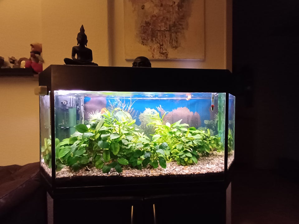 Akvarium 180 liter b: 100 d: 42 h: