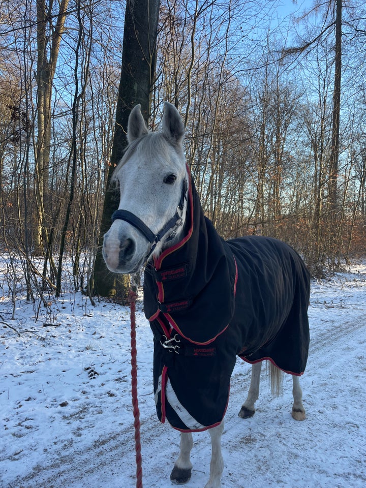 SIKA SØGER NYT HJEM