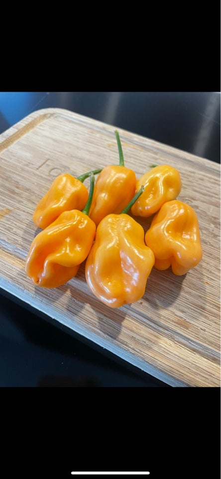 ChiliFrø, Habanero Peach