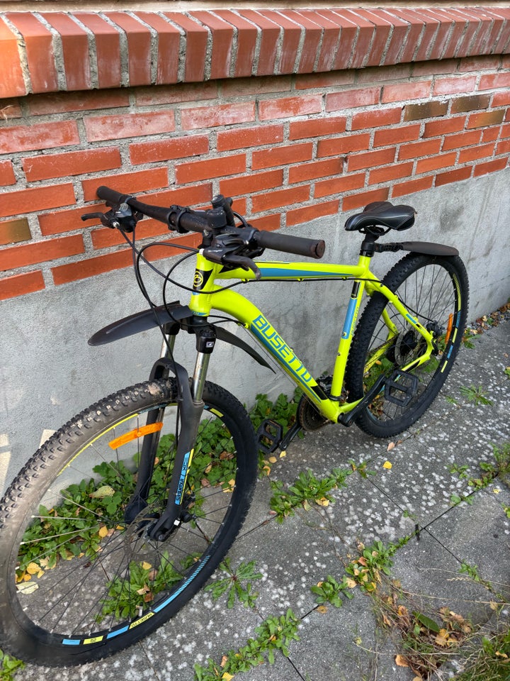 Busetto, anden mountainbike, 24