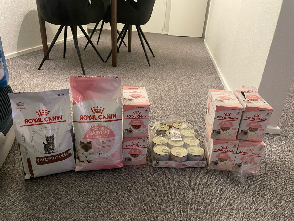 Kattefoder, Royal canin kattemad,